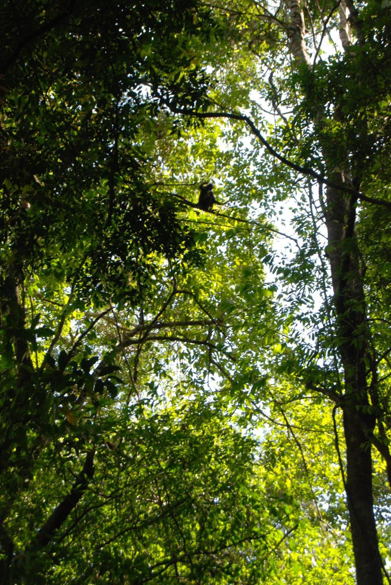 Finca Vallescondido El Caobano Kültér fotó