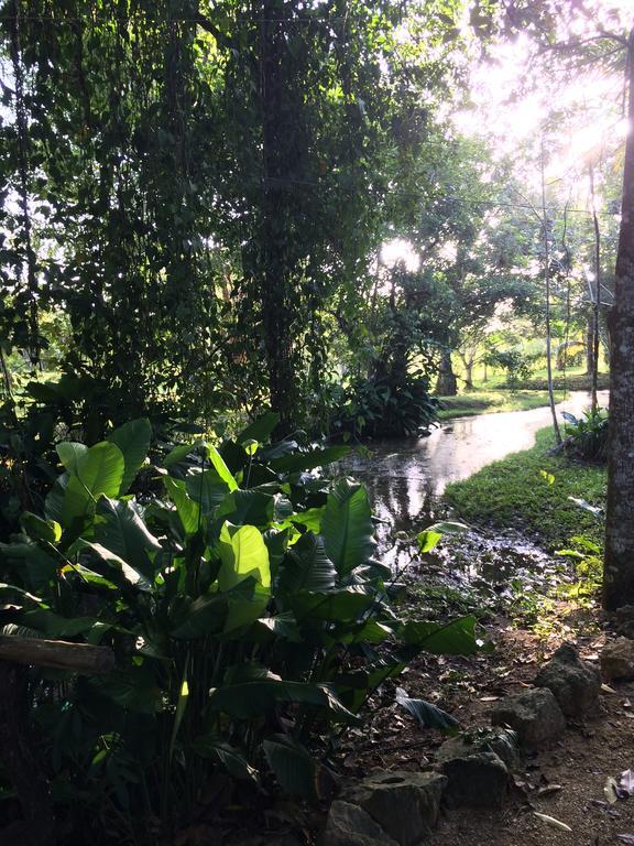 Finca Vallescondido El Caobano Kültér fotó