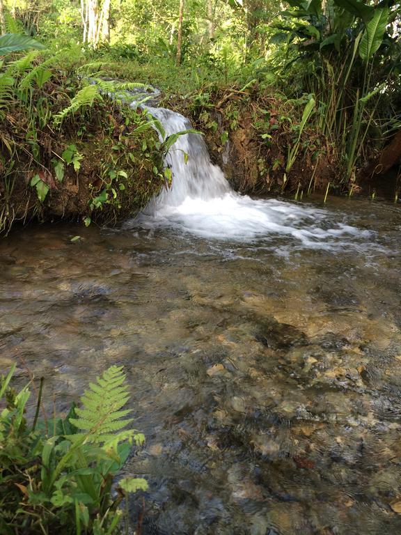 Finca Vallescondido El Caobano Kültér fotó